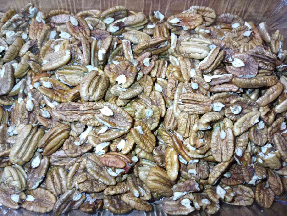 shelled fresh big beautiful pecans