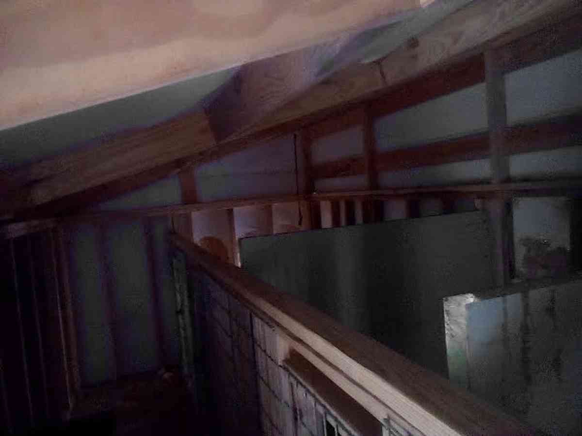 4Bay Dog kennel for breading o - Florence, South Carolina - FleaMarketBay