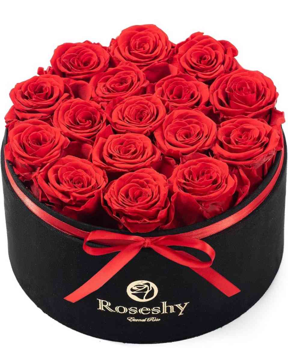 Forever preserved roses gift Valentines Day - Manheim, Pennsylvania