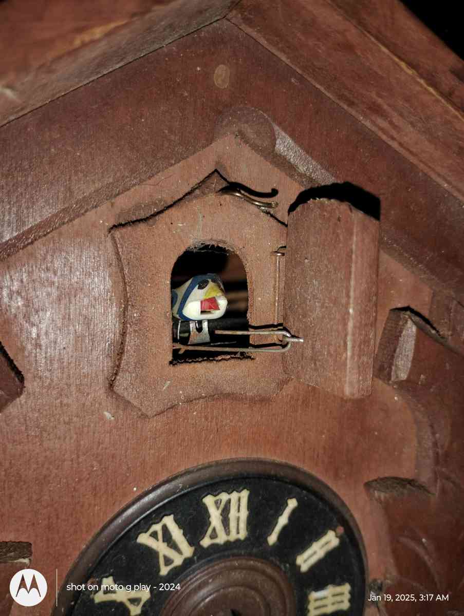 cuckoo cloak - Pine Grove, Louisiana - FleaMarketBay