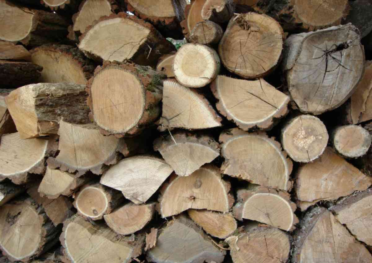 Half Cord Hardwood Mixed Firewood - Omaha, Nebraska - FleaMarketBay