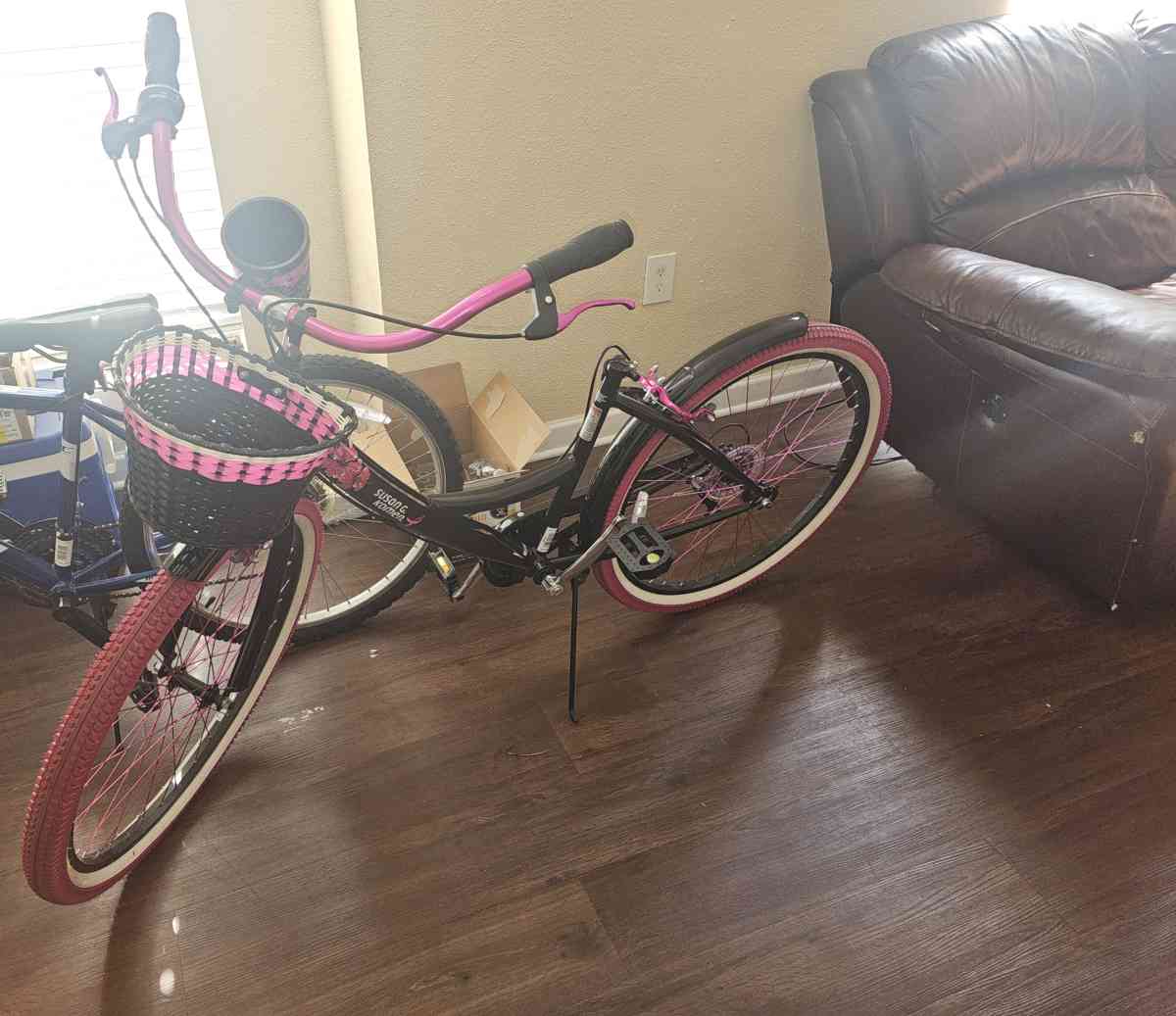 Bicicleta de Paseo - Tampa, Florida - FleaMarketBay