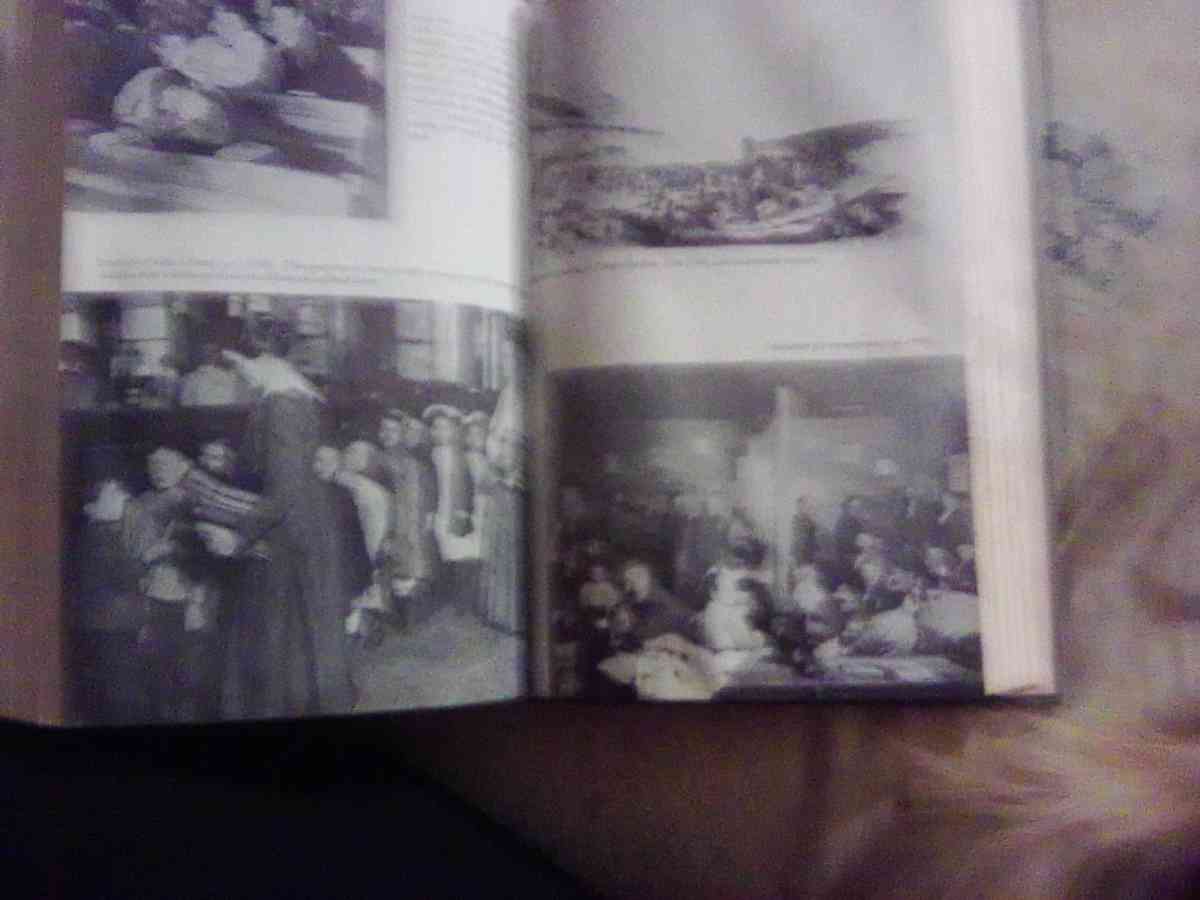 The School in the American Social Order - Louisiana, Missouri - FleaMarketBay