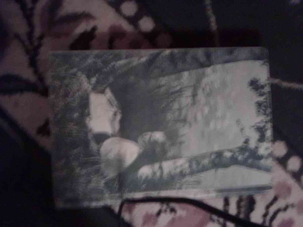 Camp Counseling - Louisiana, Missouri - FleaMarketBay