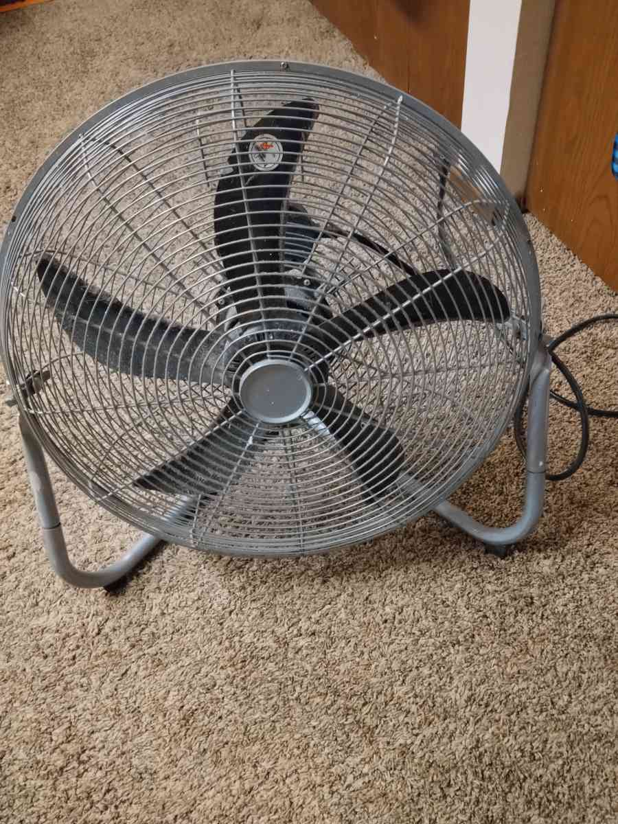 Large Gray  Fan