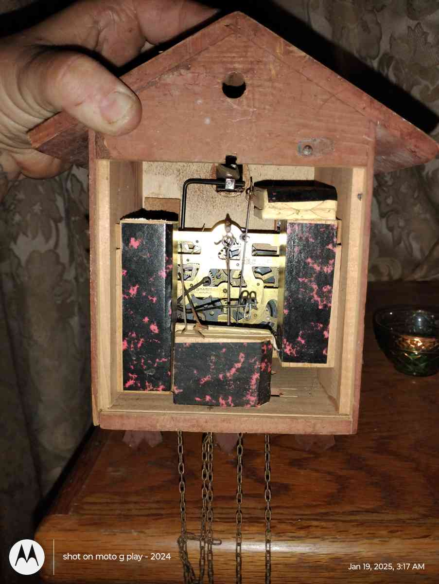 cuckoo cloak - Pine Grove, Louisiana - FleaMarketBay