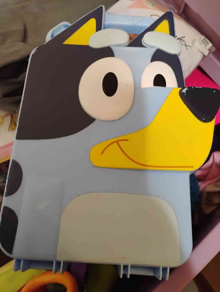 bluey box - Fruitland Park, Florida