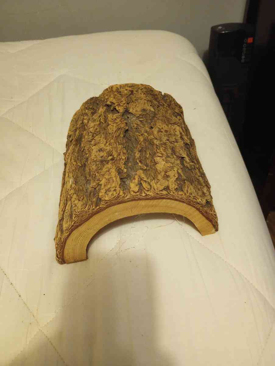 Large Hanna Hut  Reptile Hide - Palatka, Florida