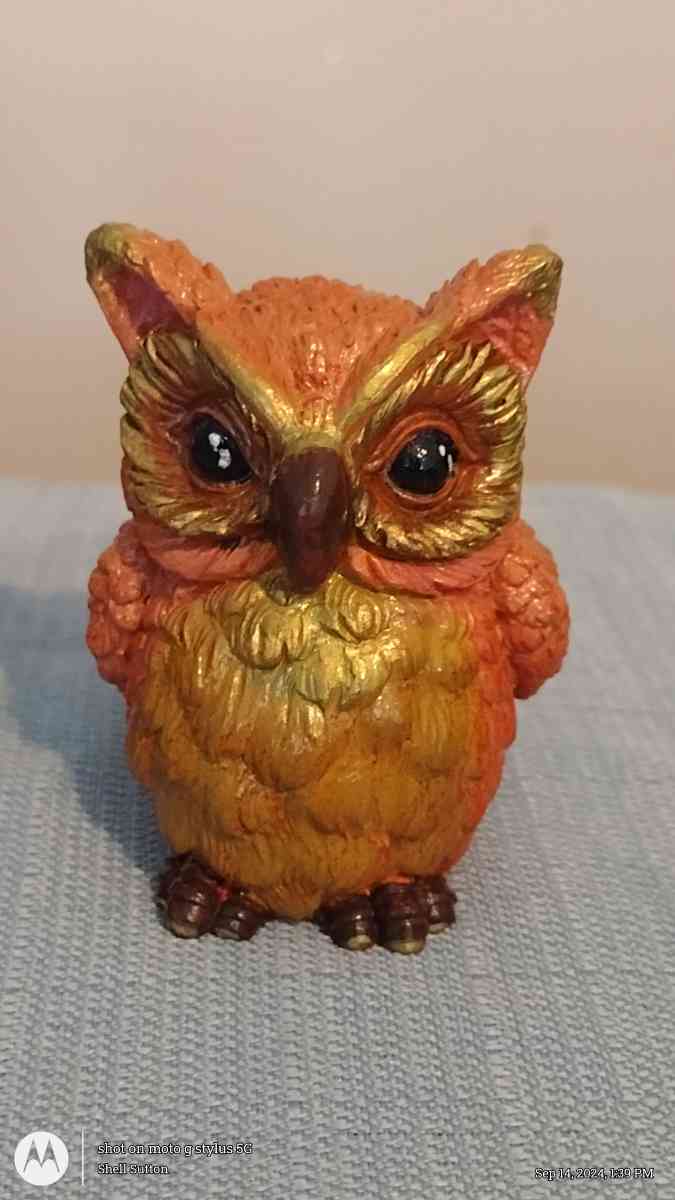 Raibow owls decor - Virginia Beach, Virginia - FleaMarketBay