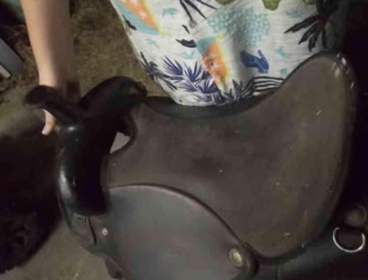 horse saddle - Piney Flats, Tennessee - FleaMarketBay