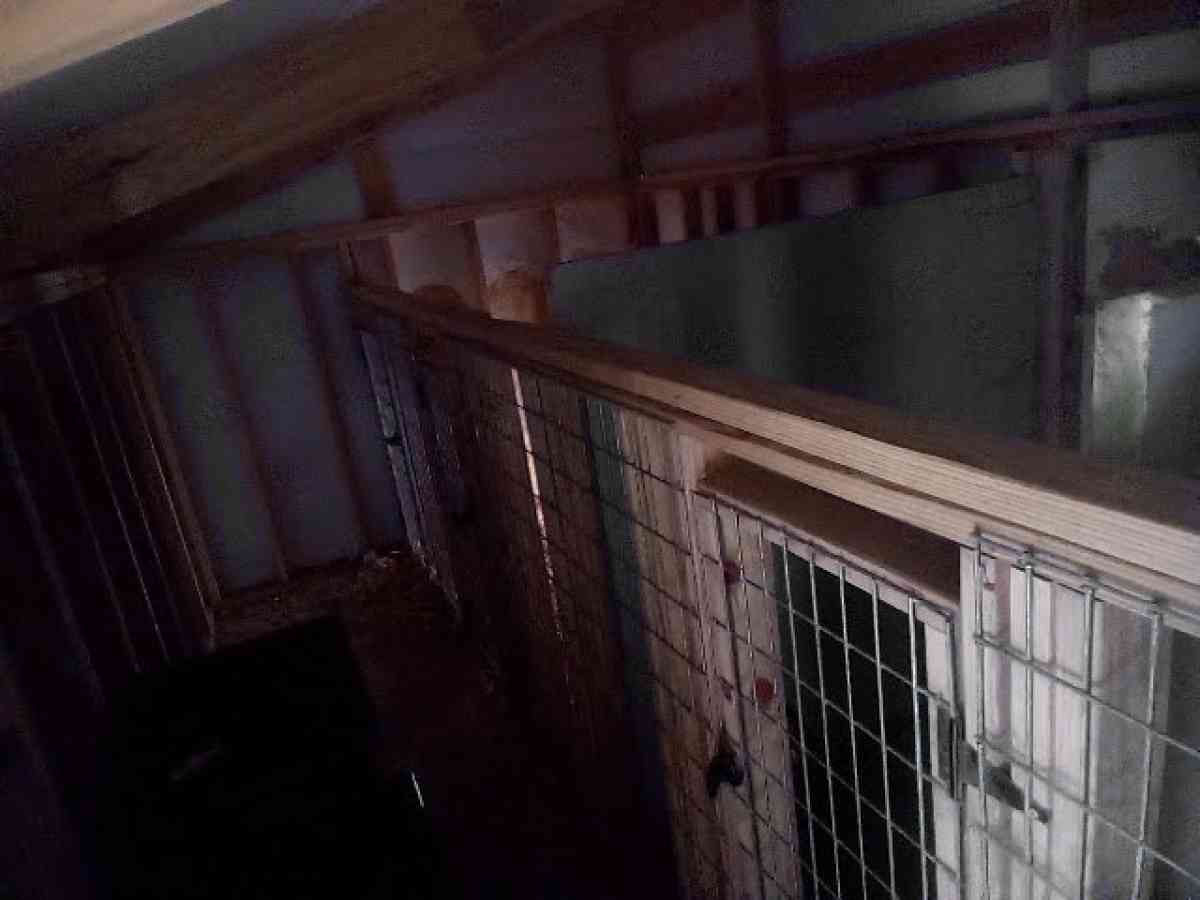 4Bay Dog kennel for breading o - Florence, South Carolina - FleaMarketBay