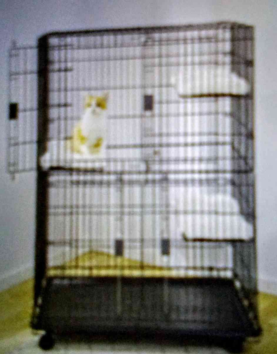 Frisco collapsible wire cage playpen