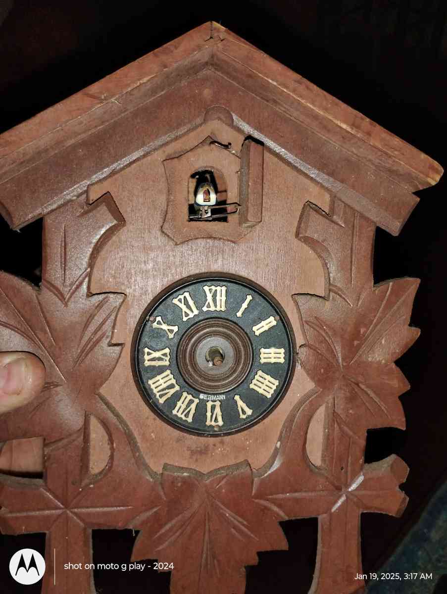 cuckoo cloak - Pine Grove, Louisiana - FleaMarketBay