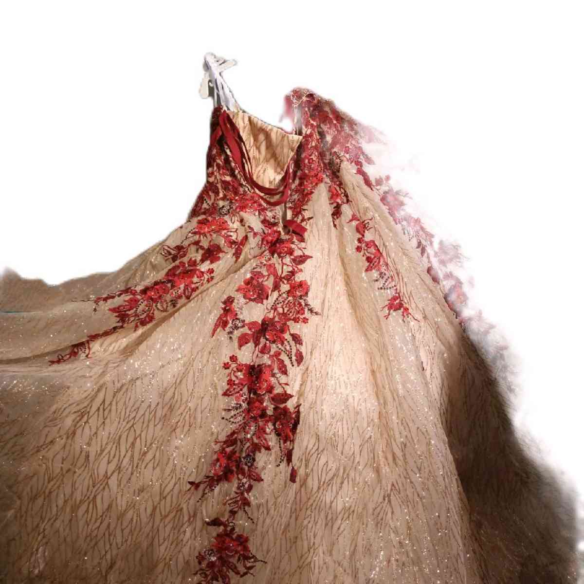 BALL GOWN DRESSES - North Miami Beach, Florida - FleaMarketBay