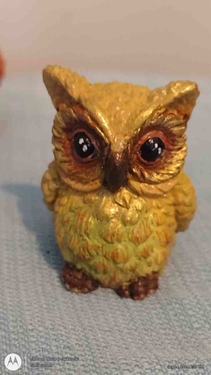 Raibow owls decor - Virginia Beach, Virginia - FleaMarketBay