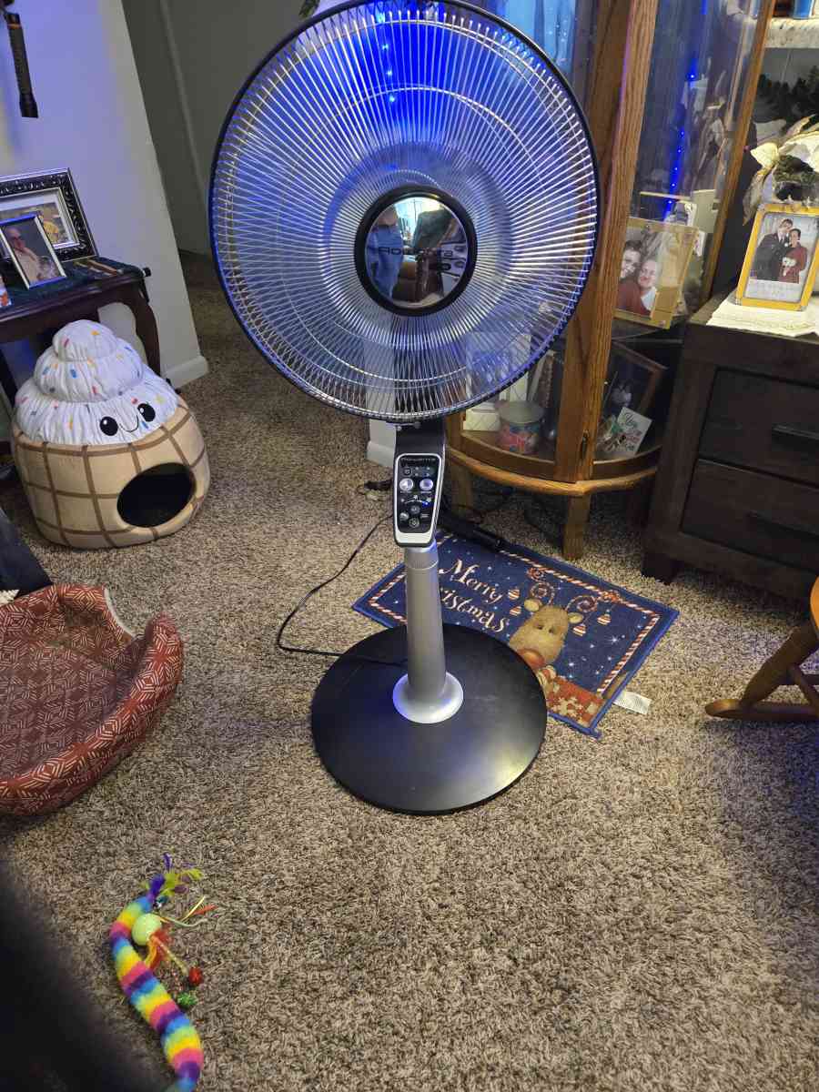 Fancy fan - Jenks, Oklahoma