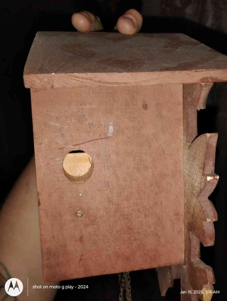 cuckoo cloak - Pine Grove, Louisiana - FleaMarketBay