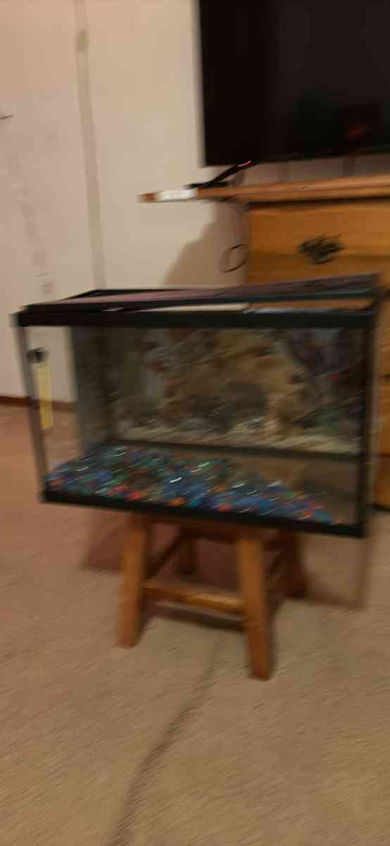 medium size fish tank - Abington, Pennsylvania - FleaMarketBay