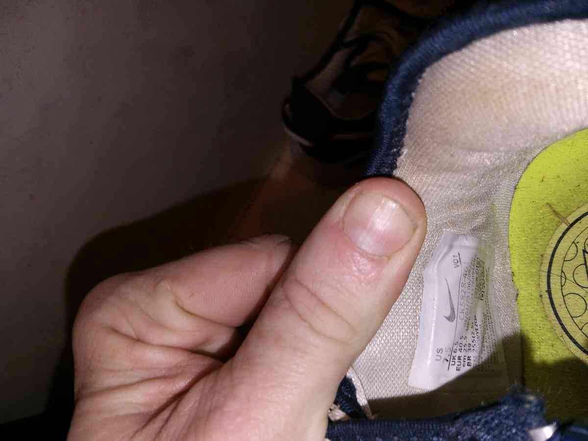 us 7 5 Nike p4 college navy basketball shoes - Cleveland, Alabama - FleaMarketBay