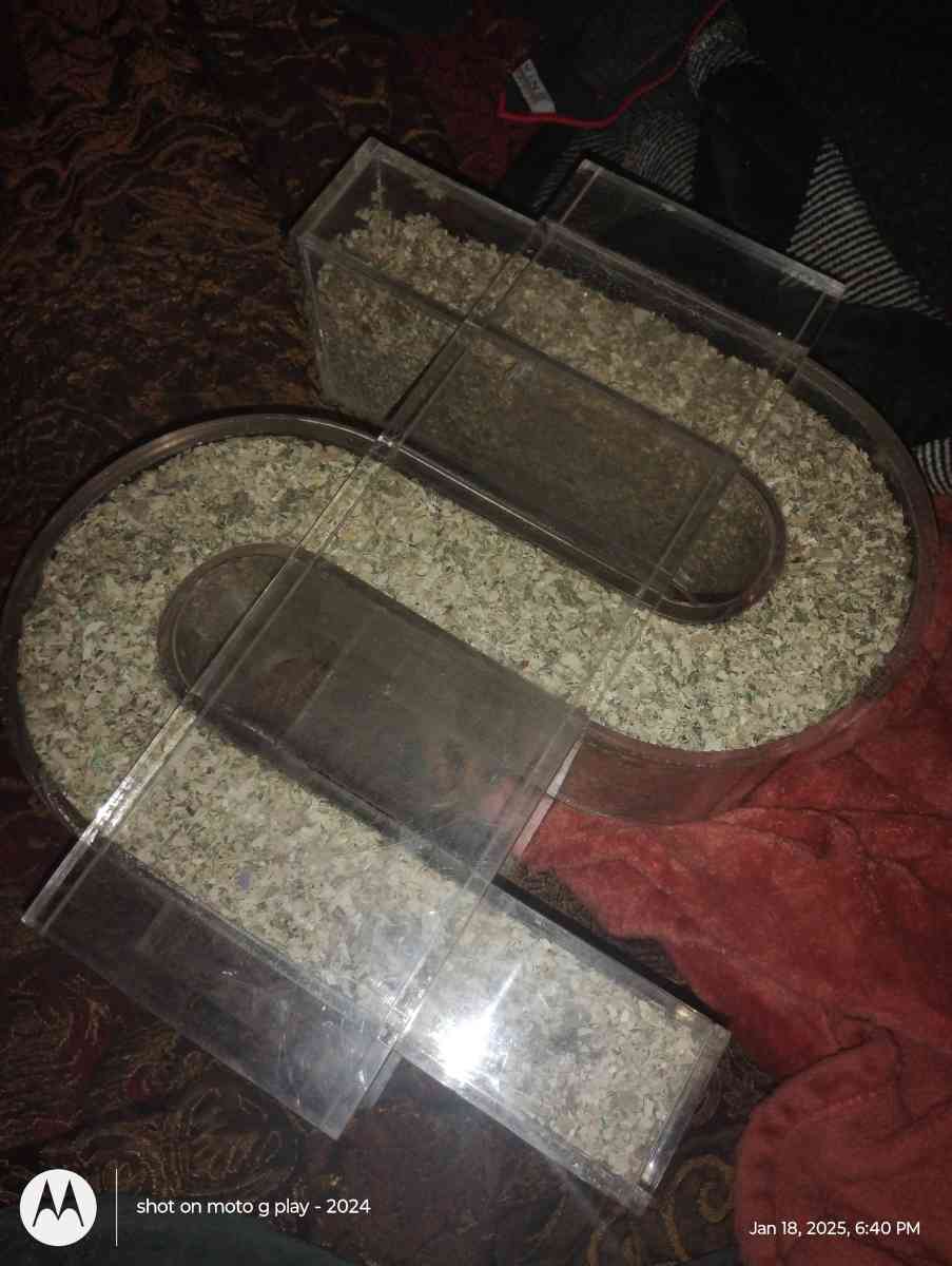 1 million dollars in a plastic money symbol container - Pine Grove, Louisiana - FleaMarketBay