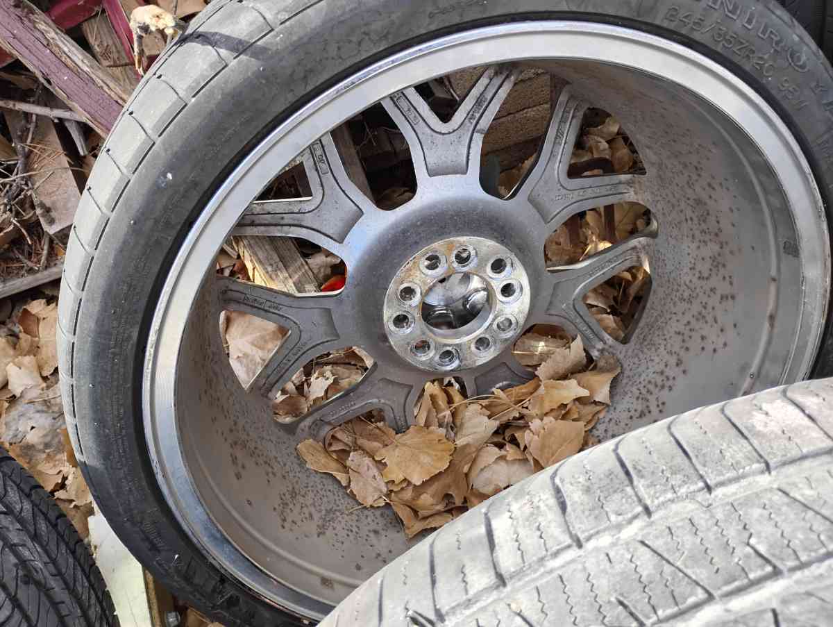 stock rims - Golden, Colorado - FleaMarketBay