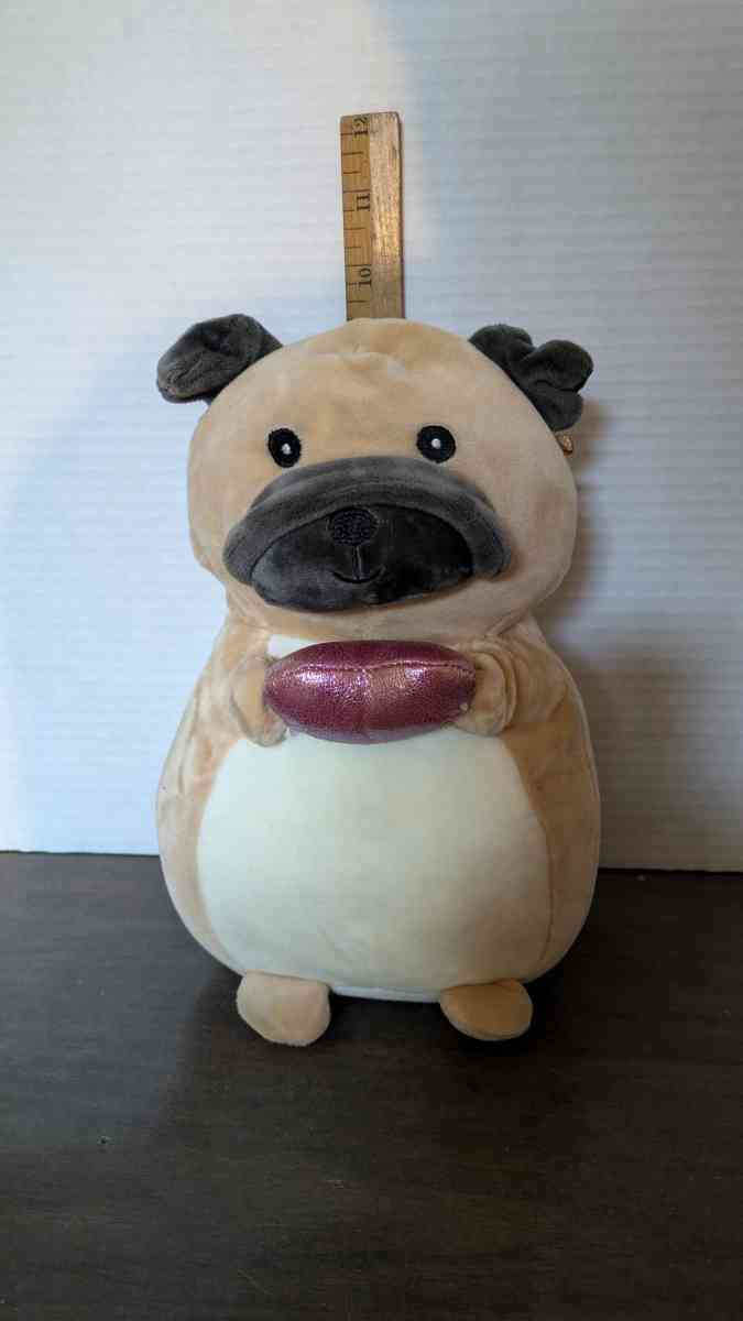 Squishmallows Hug Mees Valentines Pug Dog Holding Pink Heart - Phoenix, Arizona