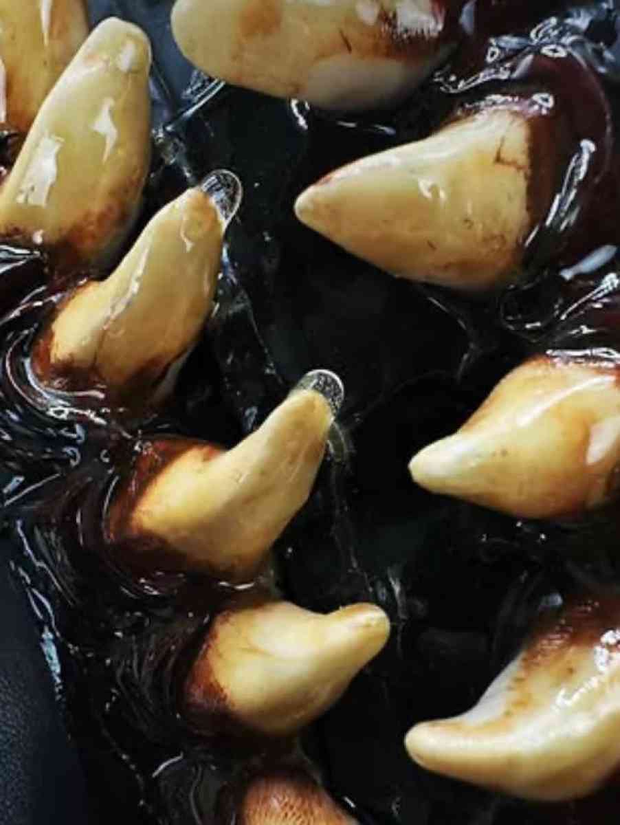 VERY RARE Venom Boots EAT YOUR HEART OUT Only A Few Made - Arlington, Texas - FleaMarketBay