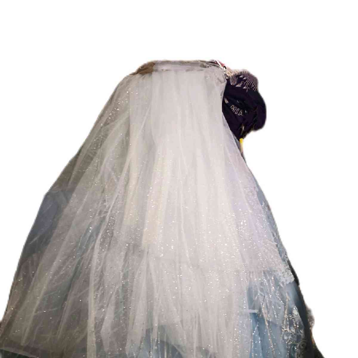 BALL GOWN DRESSES - North Miami Beach, Florida