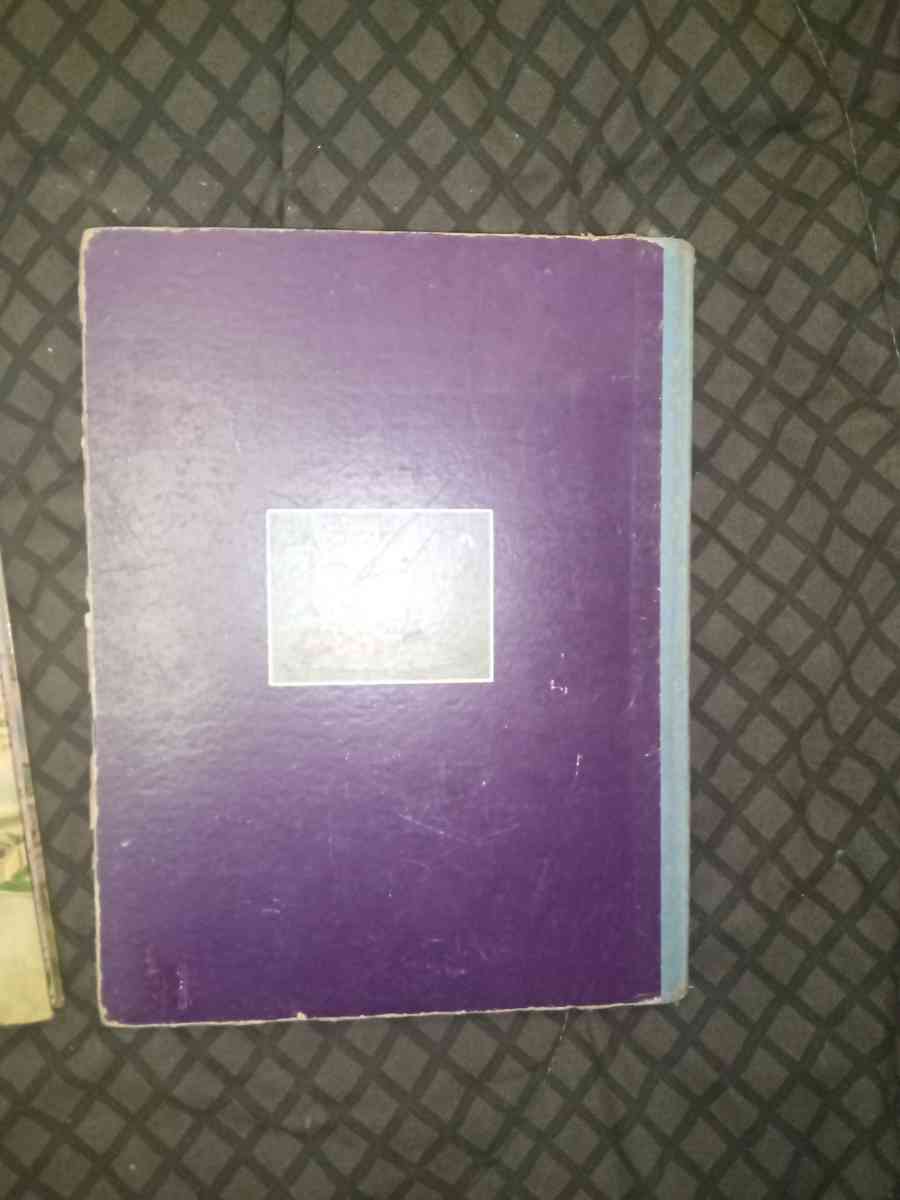 Walt Disney 1931 Peter Pan - Johnson City, Tennessee - FleaMarketBay