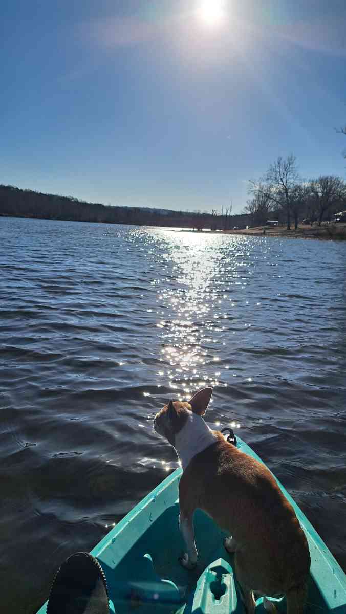 Aquatic Guide Service - Eureka Springs, Arkansas - FleaMarketBay