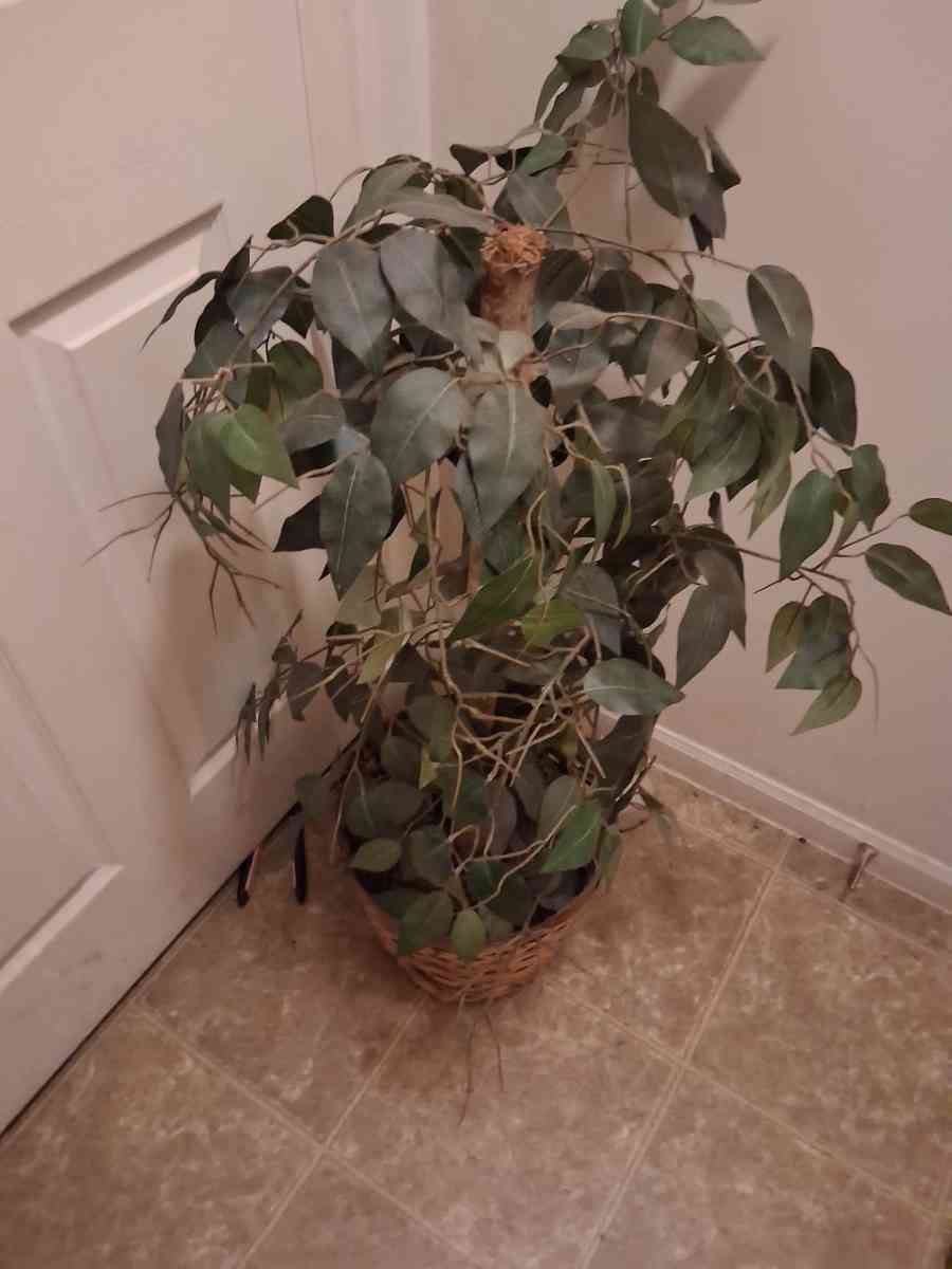 home decor - Roanoke, Alabama - FleaMarketBay