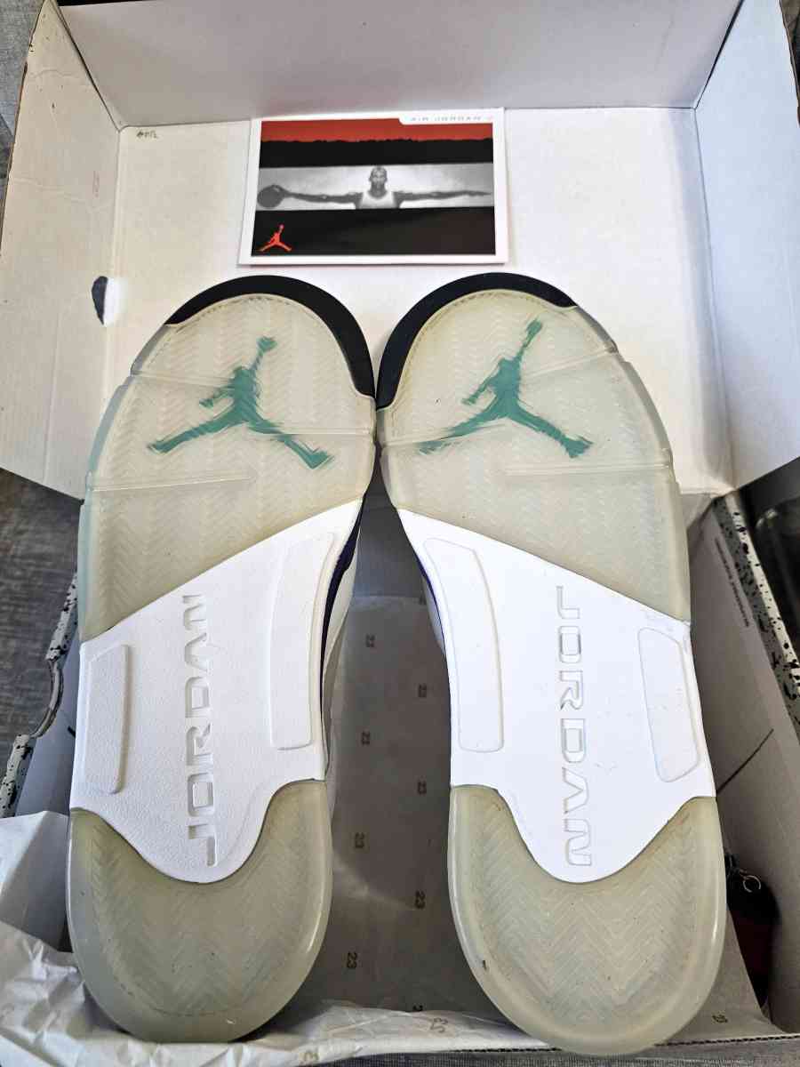 jordan 5 grapes - Bronx, New York