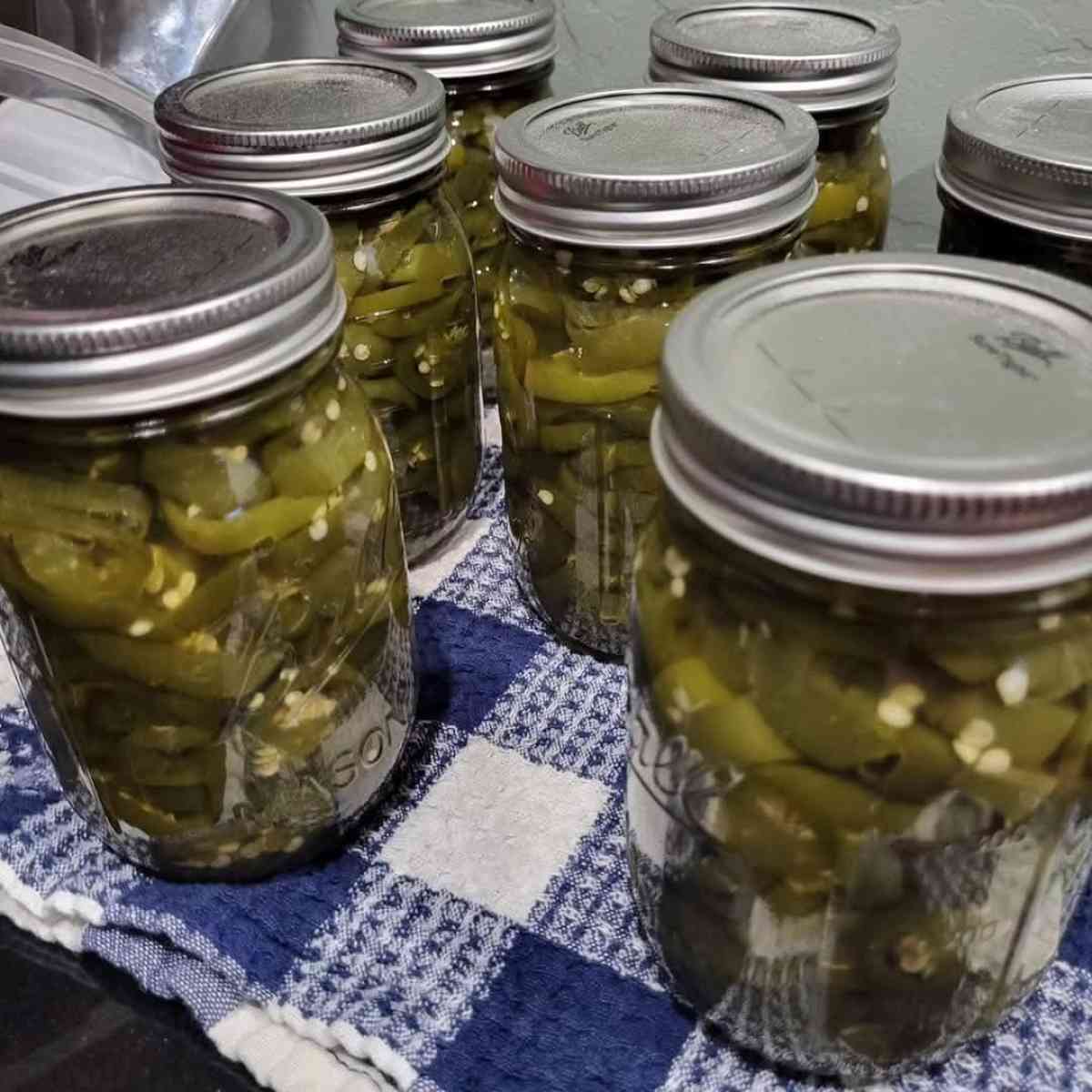 Save the date Jammin Gina and More Grand Opening Event - Delhi, California - FleaMarketBay