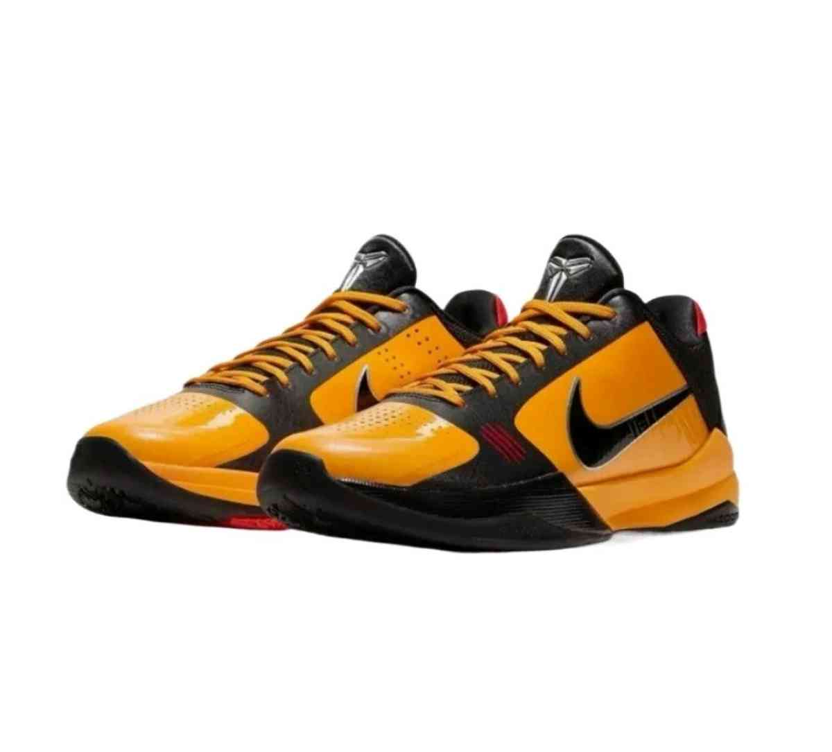 Zoom Kobe 5 Protro Bruce Lee size 10 - Orlando, Florida
