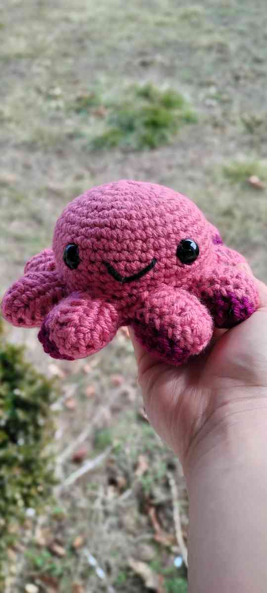 Pink Reversible Octopus - Dover, Delaware