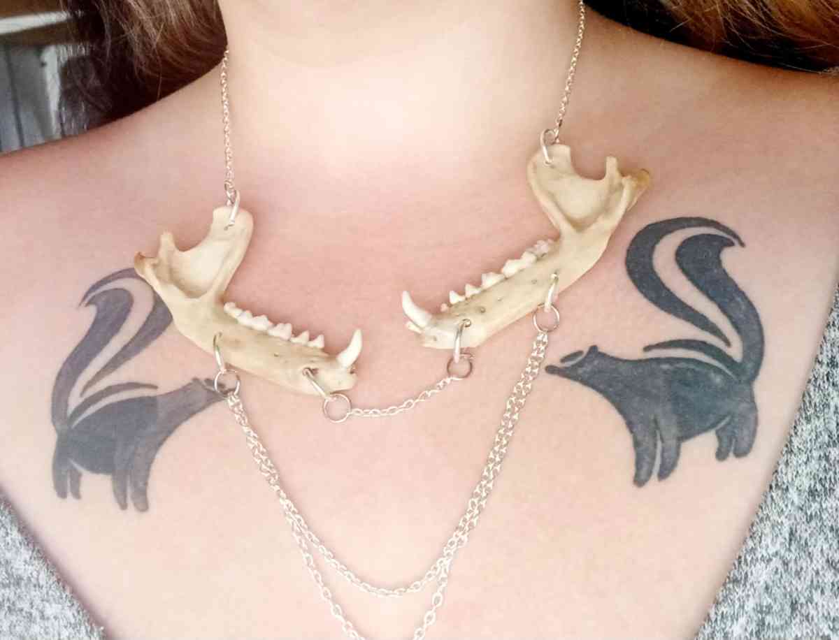 jawbone necklace with chain dangle - Victoria, Texas - FleaMarketBay
