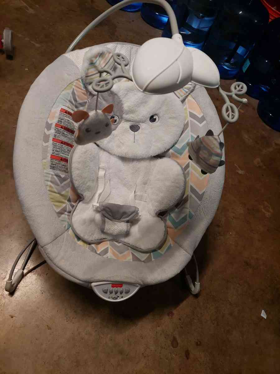 FisherPrice Sweet Snugapuppy Deluxe Bouncer portable bouncin - Austin, Texas