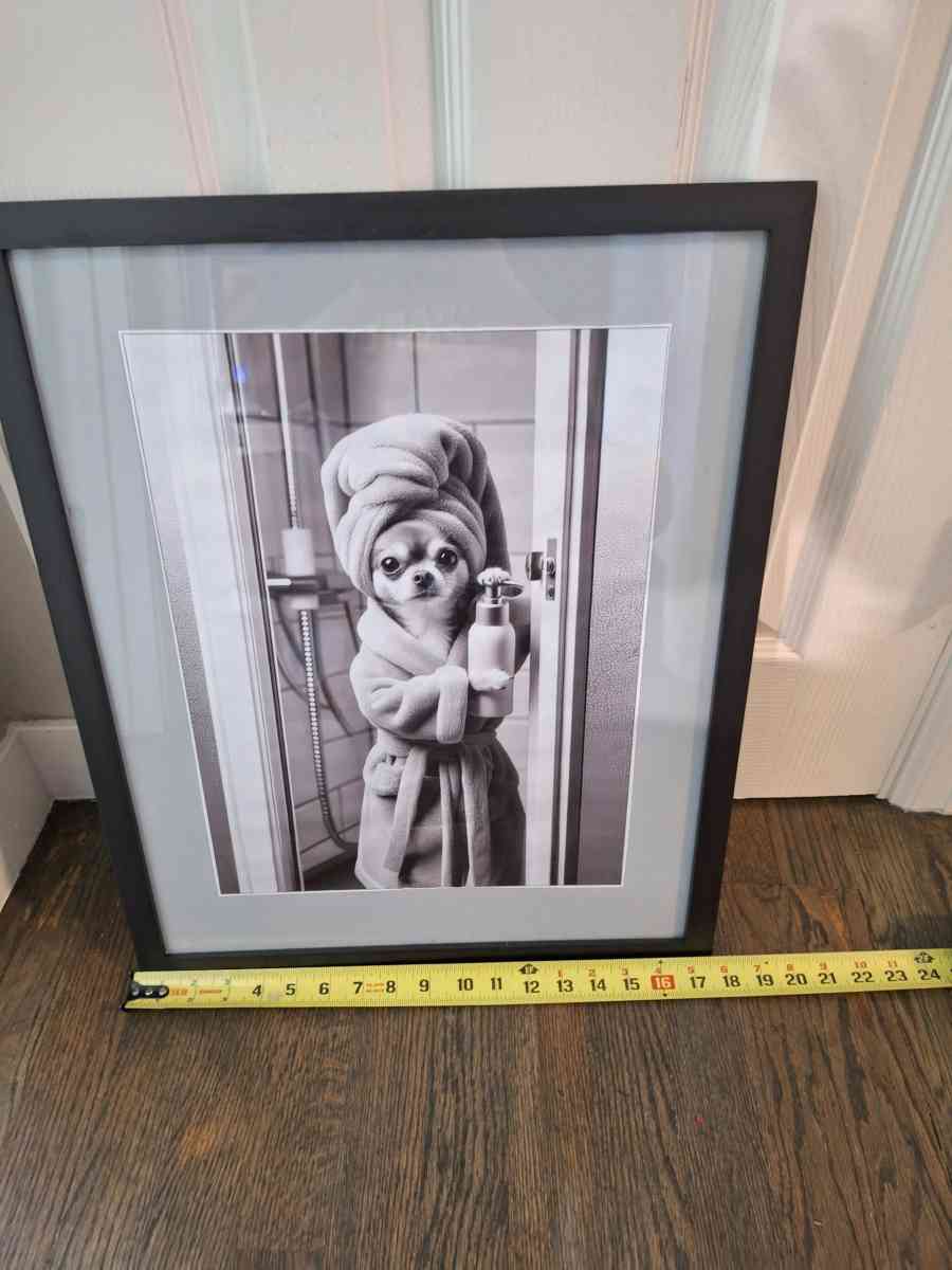 Framed chihuahua photo - Denver, Colorado