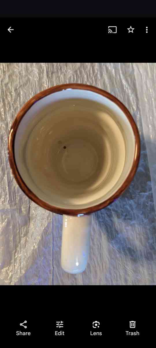 Rare Vintage Thanksgiving WCL Ceramic Turkey Mug - Phoenix, Arizona - FleaMarketBay