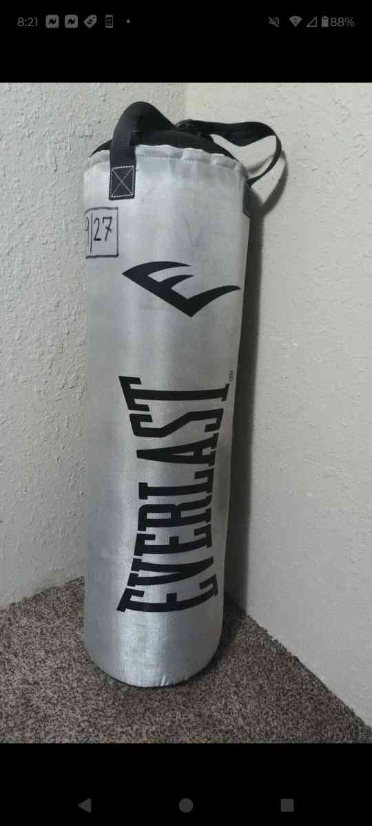 punching bag - Conroe, Texas
