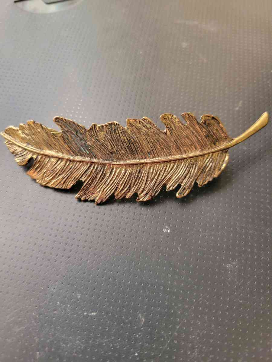 gold metal feather hair clip - Norman, Oklahoma