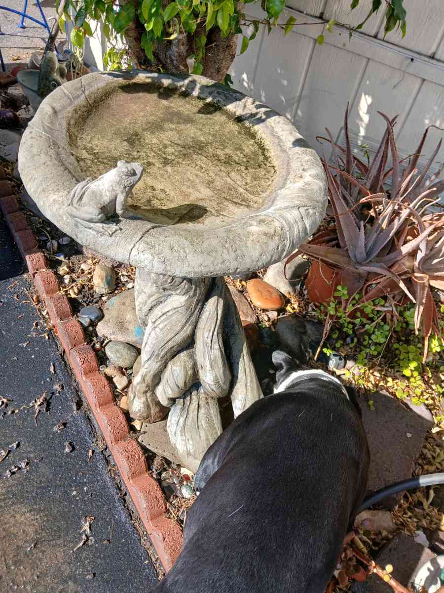 large concrete birdbath - Placentia, California