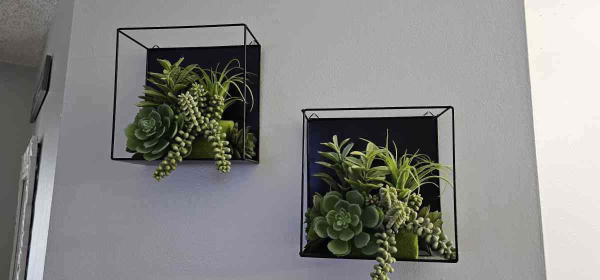 wall plants - Palm Beach Gardens, Florida - FleaMarketBay