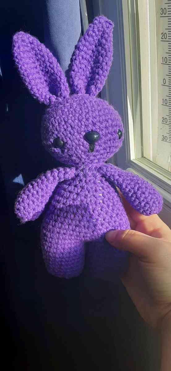 Purple Bunny - Dover, Delaware