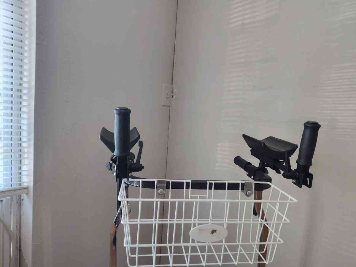 caminador de adulto - Alicia, Arkansas - FleaMarketBay