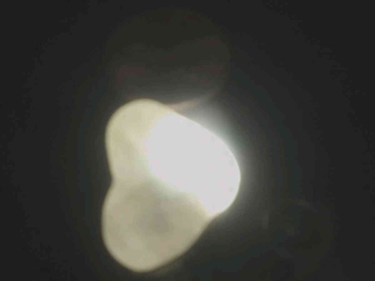 heart shaped water Opal - Arcadia, Indiana