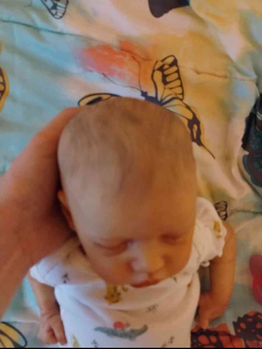 Reborn Twin A - Copperas Cove, Texas - FleaMarketBay