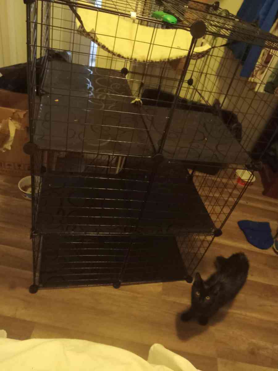 huge pet mansion - Tacoma, Washington - FleaMarketBay