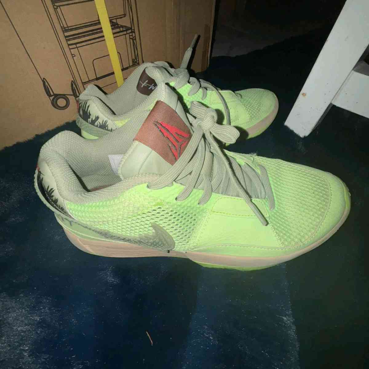 Ja Morant Zombie Hoop Shoes - Jacksonville, Florida - FleaMarketBay