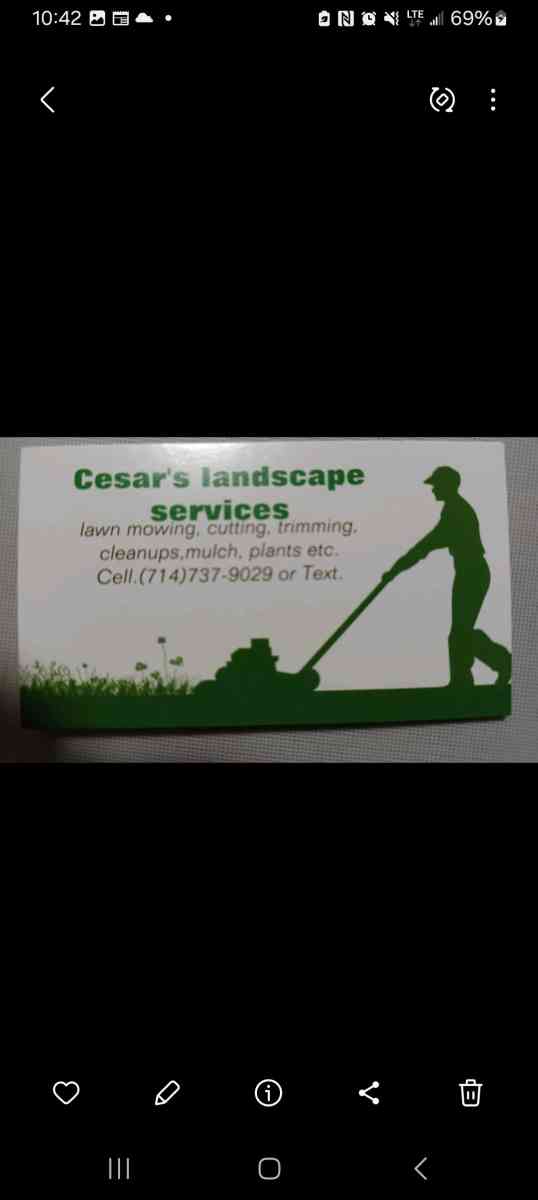 lawns - Austin, Texas - FleaMarketBay